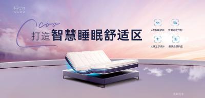 美亚实业历程-2004 深圳美亚实业收购MPE BEDDING【图10】