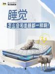 舒达家居日志-【图1】