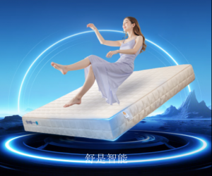 产品图片：家具企业舒是智能智能家居产品名称《智能床》议价