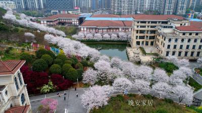 晚安家居文化-晚安文化园

园区总览
晚安【图3】
