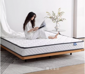 晚安家居客卧家具《弹簧床垫软硬两用》